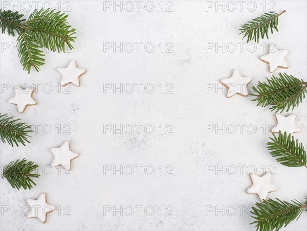 Cinnamon stars, traditional german christmas cookies, gingerbread, empty copy space