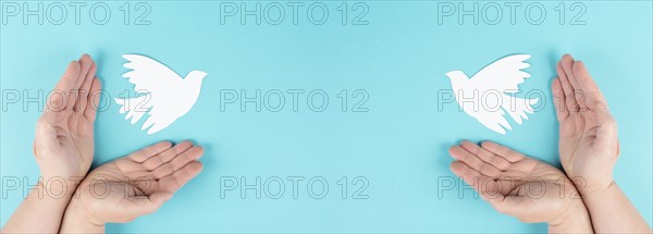 Holding a white dove in the hands, symbol of peace, paper cut out pigeon, copy space for text, blue