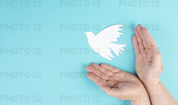 Holding a white dove in the hands, symbol of peace, paper cut out pigeon, copy space for text, blue