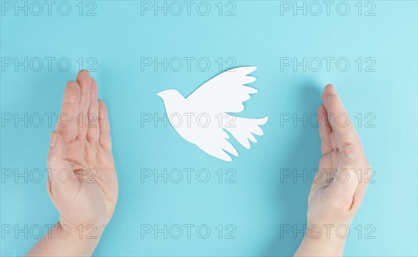Holding a white dove in the hands, symbol of peace, paper cut out pigeon, copy space for text, blue