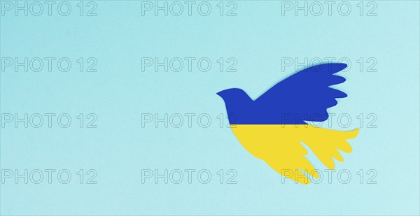 Ove in the colors of the ukrainian flag, symbol for peace and hope, pigeon bird in blue and yellow,