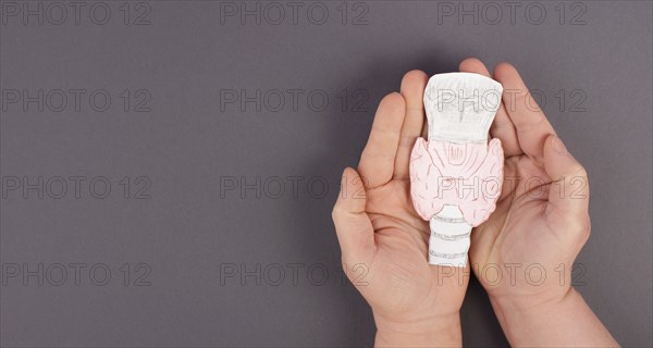 Holding thyroid organ in the hands, drawing paper cut out, hyperthyroidism and hypothyroidism,