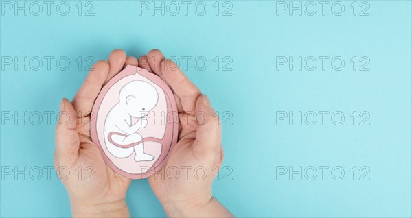 Unborn baby in the uterus, drawing of a fetus in the last trimester of pregnancy, childbirth and