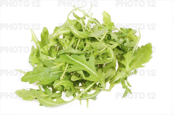 Arugula salad isolated on a white background, pile of leaves, dandelion
