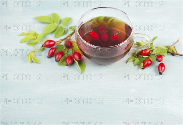 Hip rose tea with fresh fruits and leaves, hot drink