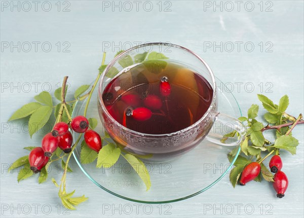 Hip rose tea with fresh fruits and leaves, hot drink
