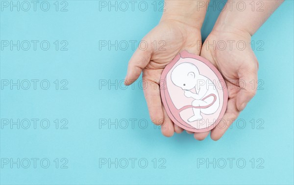 Unborn baby in the uterus, drawing of a fetus in the last trimester of pregnancy, childbirth and