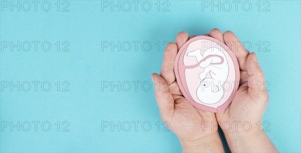 Unborn baby in the uterus, drawing of a fetus in the last trimester of pregnancy, childbirth and
