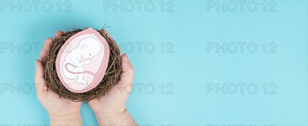 Unborn baby in the uterus, drawing of a fetus in the last trimester of pregnancy, childbirth and