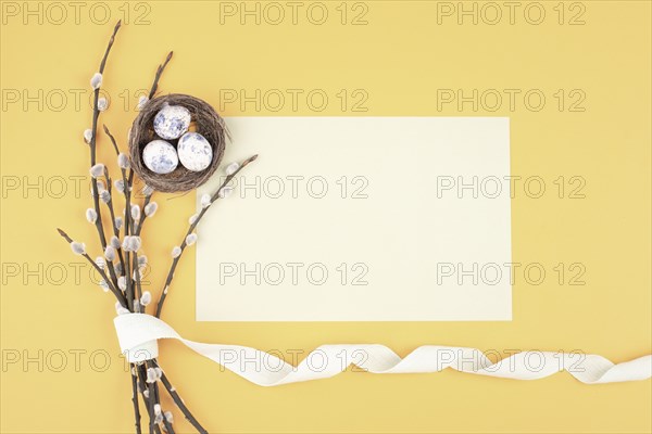 Easter holiday and spring background, empty paper for text, pastel colors, nest with eggs, pussy