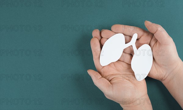 Holding paper lungs in the hand, lung cancer, covid-19 virus, world tuberculois day, no tabacco