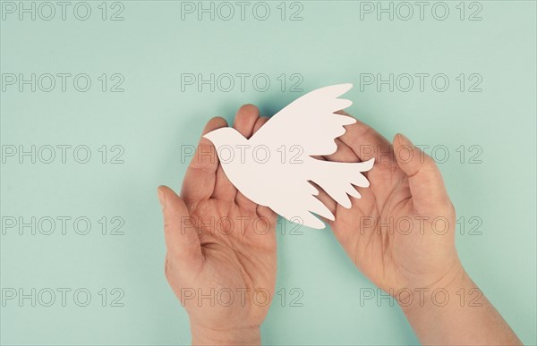 Holding a white dove in the hands, symbol of peace, paper cut out, copy space for text