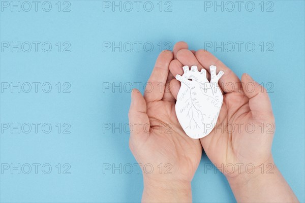 Woman is holding a heart in her hand, world heart day, blue colored background, heartbeat, health