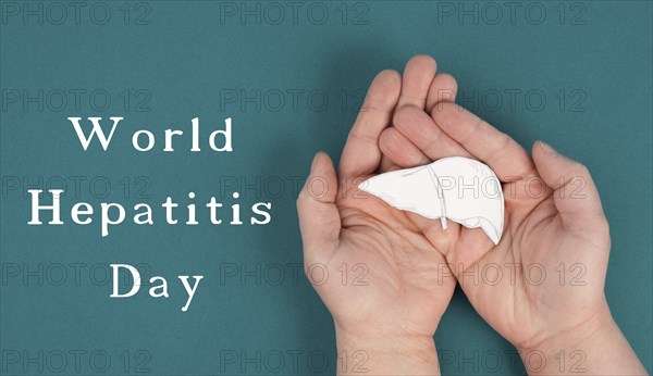 World hepatitis day, hands holding a liver, organ disease, health care