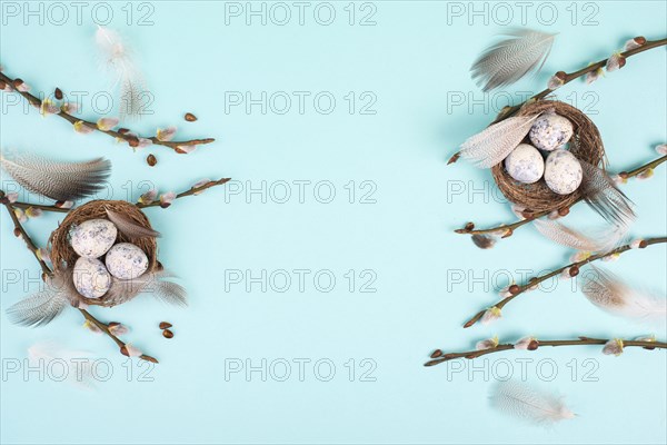 Easter holiday background, nest with small eggs, branches of pussy willow, greeting card, spring