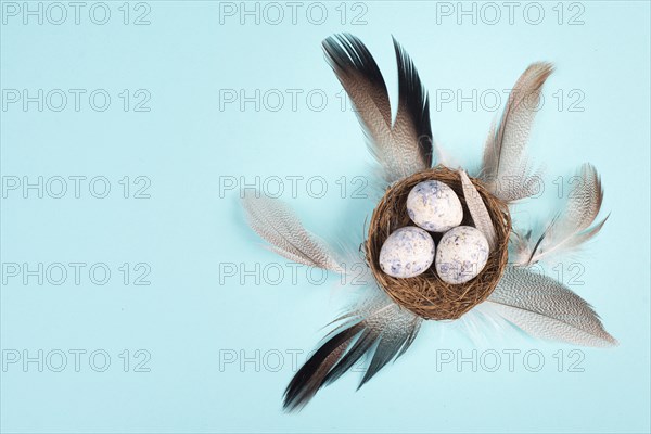 Easter holiday background, nest with small eggs, bird feathers, greeting card, spring season, blue