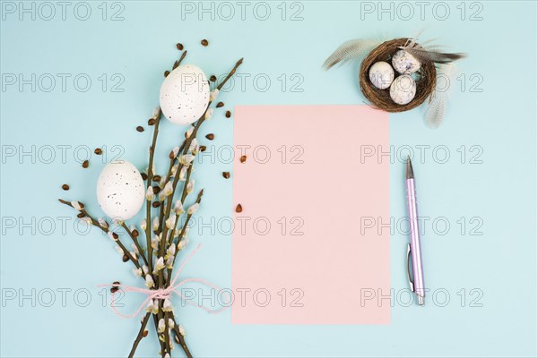 Easter holiday and spring background, empty paper for text, pastel colors, nest with eggs, pussy