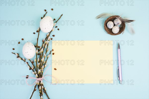Easter holiday and spring background, empty paper for text, pastel colors, nest with eggs, pussy