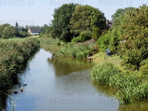 A small river with dense vegetation and ducks, houses and trees in the background, Ditzum,