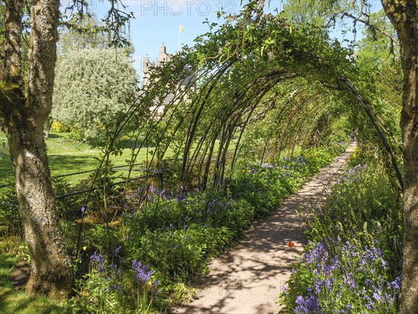 A curved garden path with flowering plants and arches covered in green foliage, inverness,
