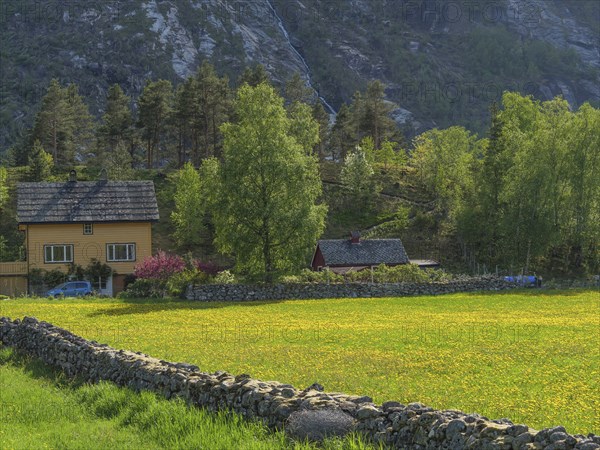 Rural house with colourful vegetation and yellow flowers in a meadow, surrounded by mountains and