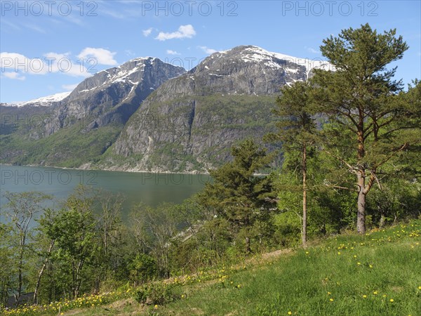 View of lake with high mountains and trees, calm atmosphere and clear blue sky, Eidfjörd, Norway,