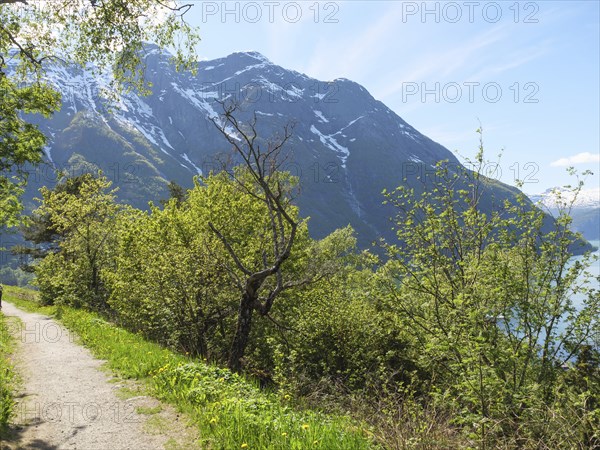 Natural path through trees with high mountains in the background, clear skies and peaceful