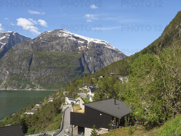 Landscape with road along the mountains, rural houses and clear skies, green vegetation, Eidfjörd,