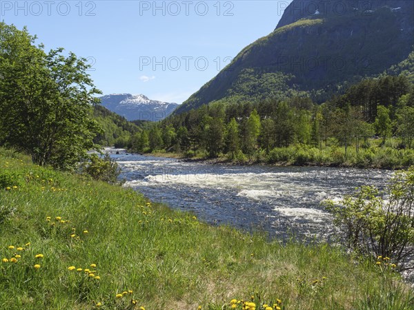 A green river landscape with meadows and trees, surrounded by mountains under a clear, sunny sky,