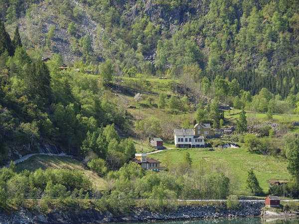 Rural houses in a green hilly landscape by the water, Eidfjörd, Norway, Scandinavia, Europe