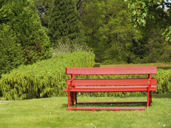 A red bench stands in a green park with trees and hedges in the background, inverness, scotland,