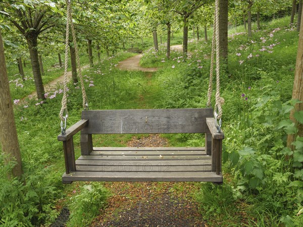 Wooden swing in a quiet forest with green trees and a path in the background, Thynemouth, England,