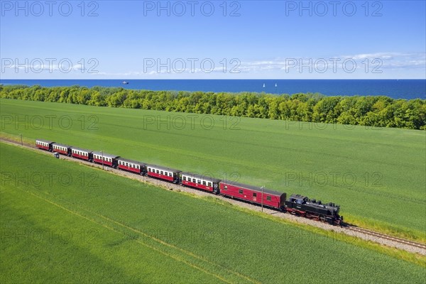 Molli steam locomotive on the narrow-gauge railway running along the Baltic Sea between Bad Doberan