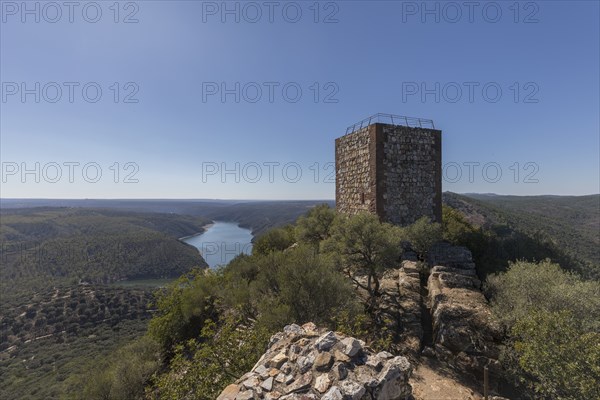 Monfragüe National Park, Extremadura, Castilla La Mancha, Spain, Europe