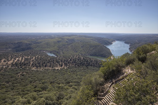 Monfragüe National Park, Extremadura, Castilla La Mancha, Spain, Europe