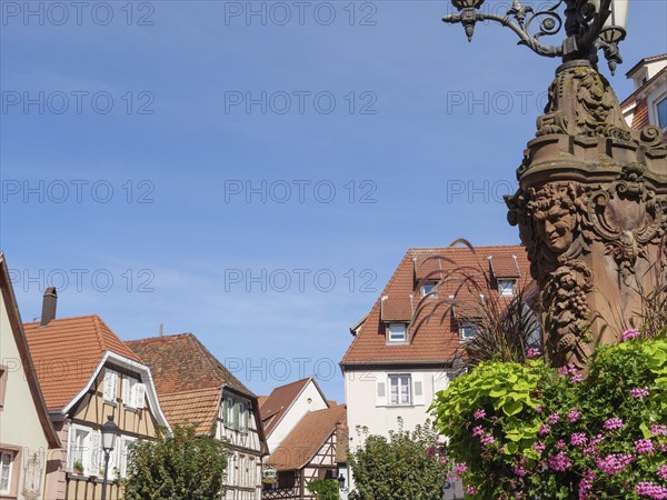 Image of a historic street lamp with half-timbered houses and flowers in the background,