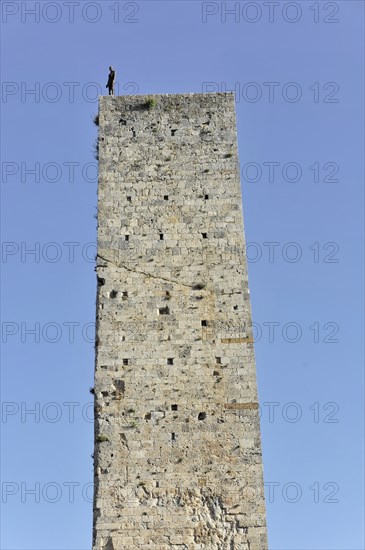 Towers of gender, Landscape, in autumn, Fields with olive trees, Vineyards, Tuscany, Italy, Europe,