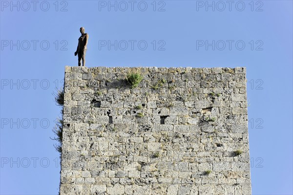 Gender towers, Landscape, in autumn, Fields with olive trees, Vineyards, Tuscany, Italy, Europe,