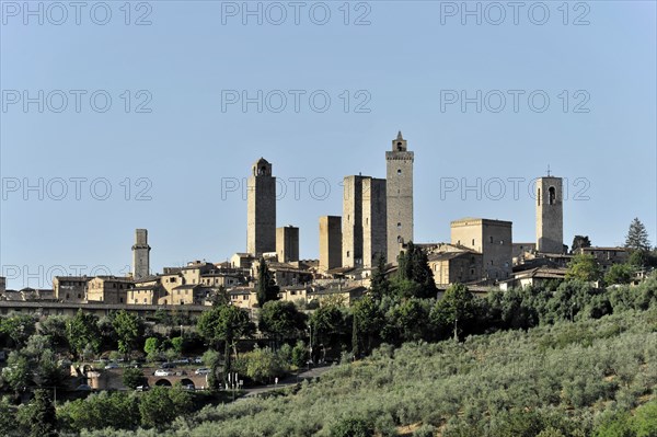 Towers of the sexes, Landscape, in autumn, Fields with olive trees, Vineyards, Tuscany, Italy,