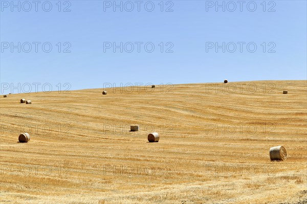 Harvested wheat fields, Landscape south of Pienza, Tuscany, Italy, Europe, Golden fields with hay