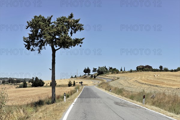 Harvested wheat fields, Landscape south of Pienza, Tuscany, Italy, Europe, Abandoned country road