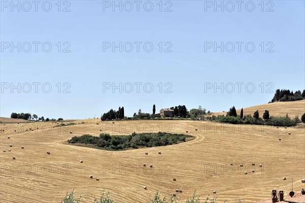 Harvested wheat fields, landscape south of Pienza, Tuscany, Italy, Europe, View of a historic town