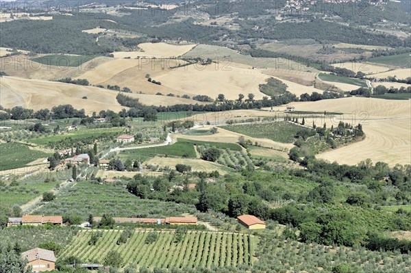 Montepulciano, Tuscany, Italy, Europe, Panorama of a rural landscape with many fields, trees and