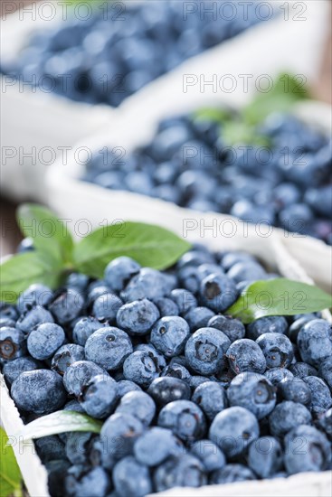Portion of fresh harvested Blueberries (detailed close-up shot)