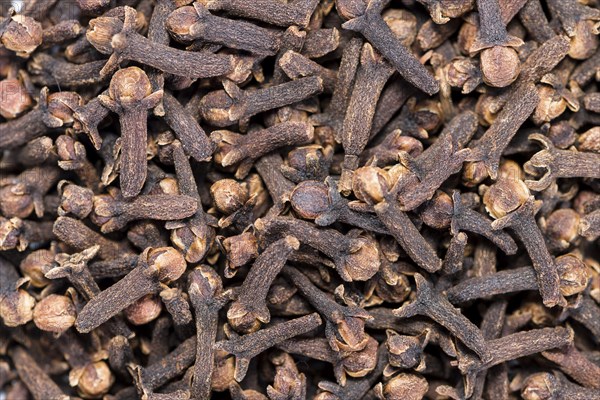 Cloves (detailed macro shot) for background or texture use