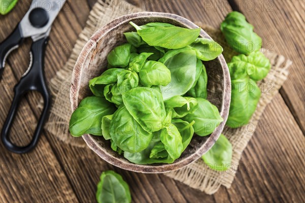 Fresh Basil (close-up shot, selective focus) on an old rustic wooden table