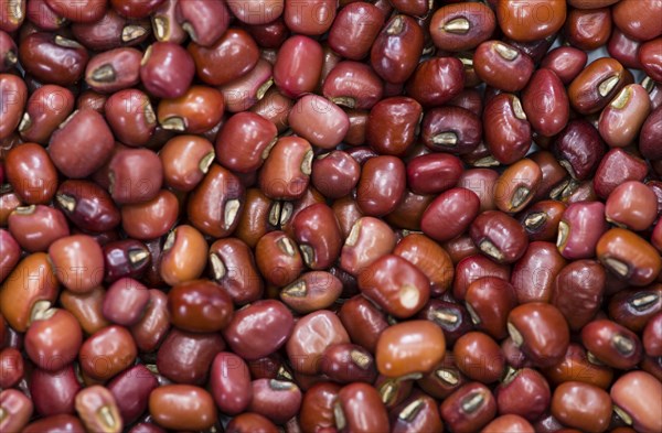Red Beans close-up shot for use as background or as texture