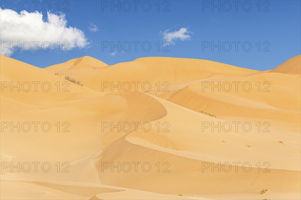 Offroad Jeep safari in the beautiful Omani Rub al-Chali Desert