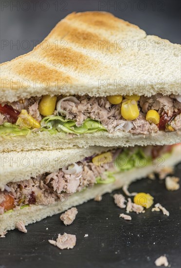 Fresh made Tuna Sandwiches (detailed close-up shot, selective focus)