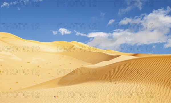 Offroad Jeep safari in the beautiful Omani Rub al-Chali Desert